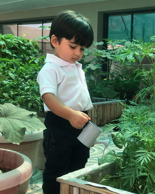 Environmental Awareness